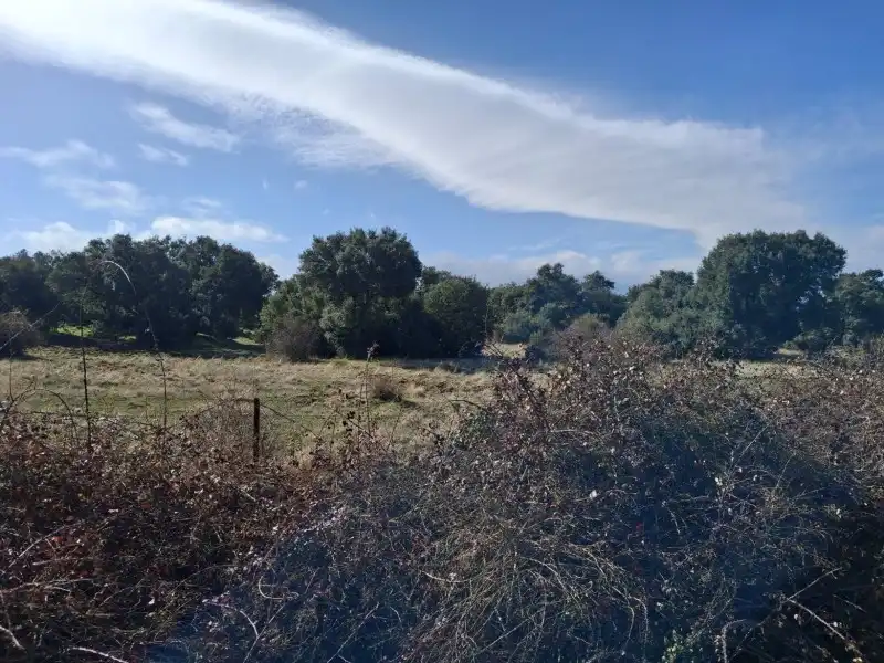 Terreni e lotti in vendita a Navas de San Antonio, imagen 3