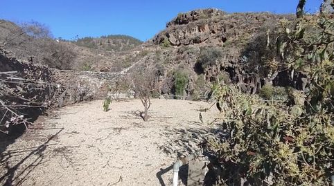 Foto 3 von Grundstücke zum Verkauf in Granadilla de Abona ciudad, Granadilla de Abona