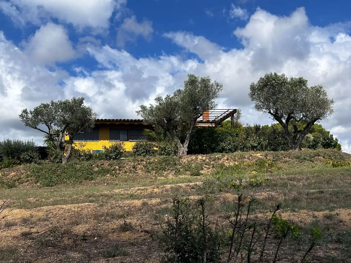 Vista exterior de Finca rústica en venta en Palamós con Jardín privado