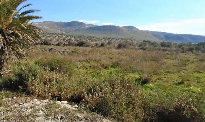 Casa o xalet en venda en Níjar amb Jardí privat, Terrassa i Moblat