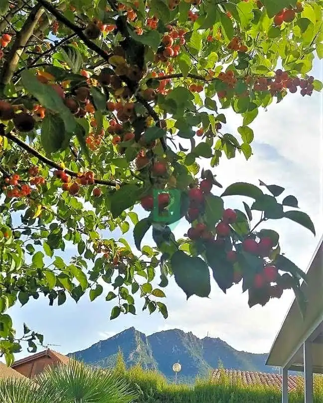 Jardín de Casa o chalet en venta en Ayegui / Aiegi con Jardín privado