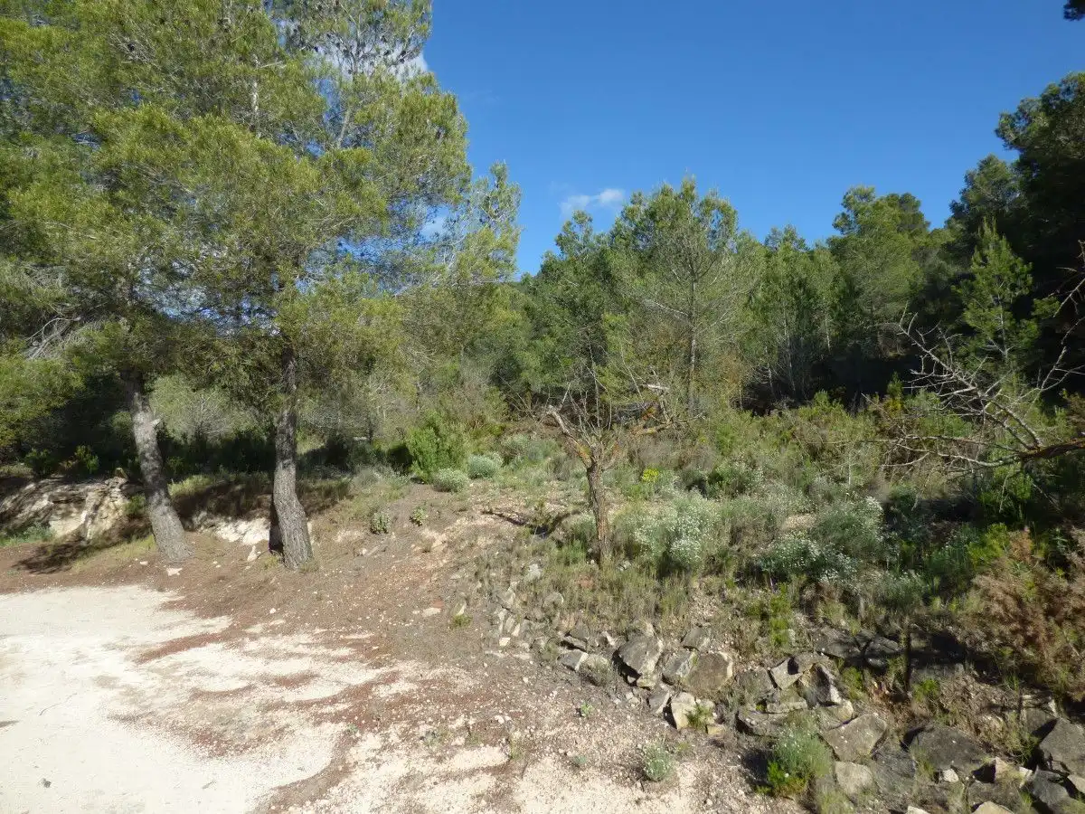 Casa o xalet en venda en Torremanzanas / La Torre de les Maçanes amb Jardí privat i Terrassa