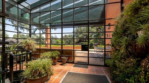 Foto 4 de Casa o chalet en venta en Rodano, 2, Ciudalcampo, Madrid