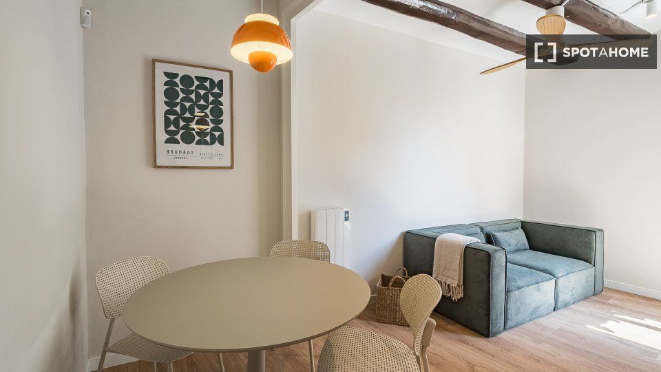 Pis de lloguer a Sant Pere, Sta. Caterina i la Ribera