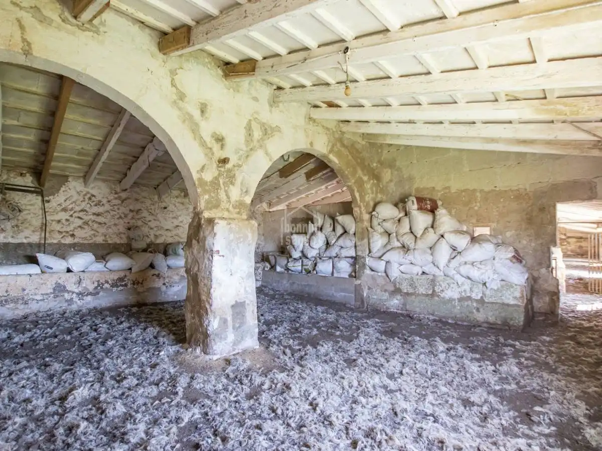 Casa rústica amb jardí en venda a Sant Climent - Es Canutells, imagen 43
