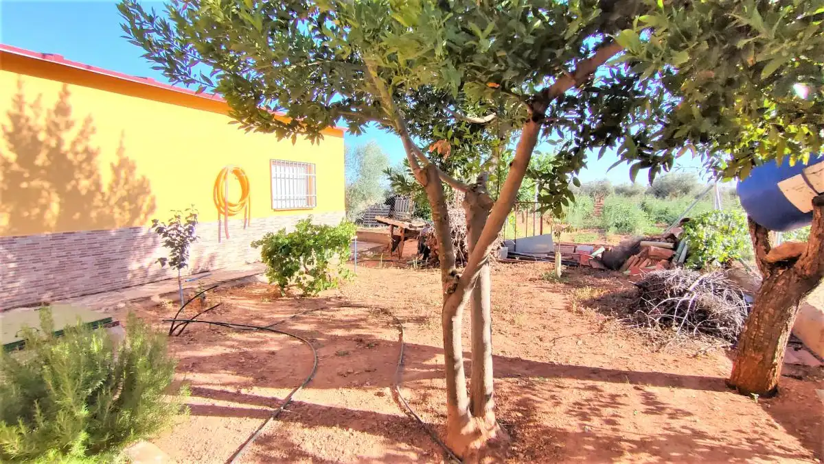 Casa rústica en venda a San Carlos del Valle (Carril de las Chozas) km 3, imagen 24