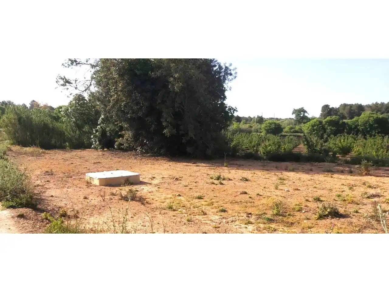 Terreny rústic en venda a Poligono 16, imagen 7