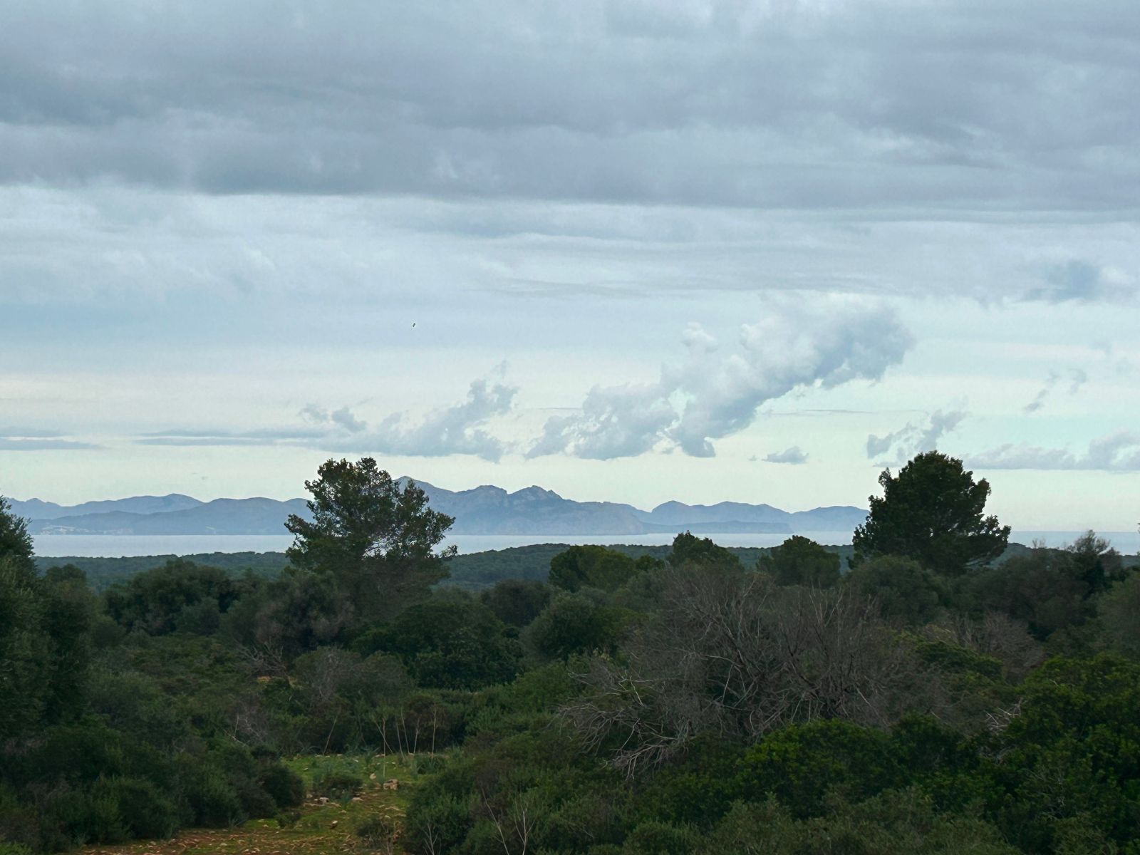 Finca rústica en venda en Artà amb Jardí privat