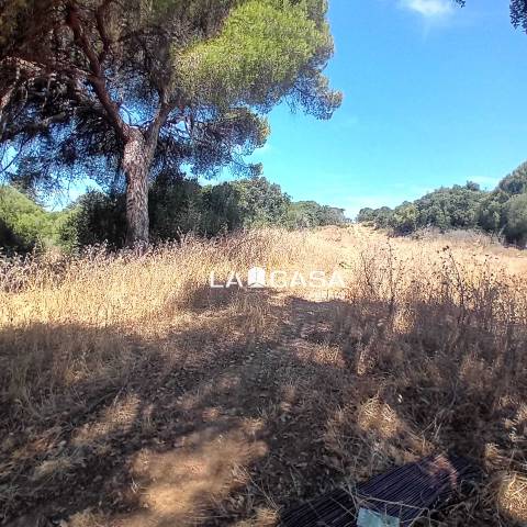 Terreno residencial en Venta en Taraguilla- Estación