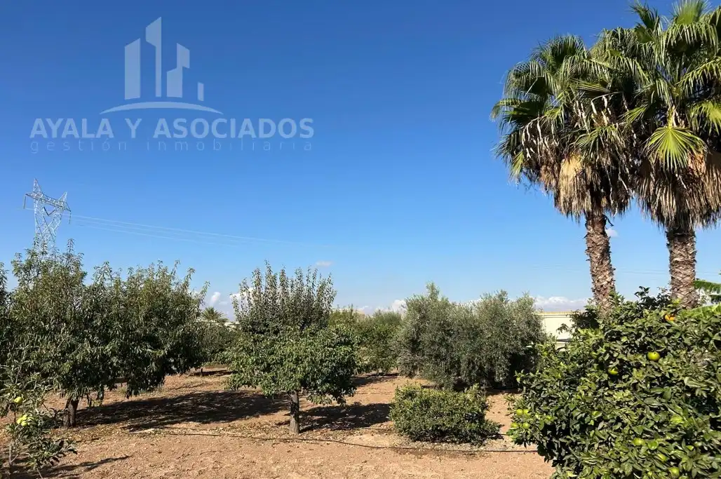 Finca rústica en venda en Cartagena amb Aire condicionat, Calefacció i Jardí privat