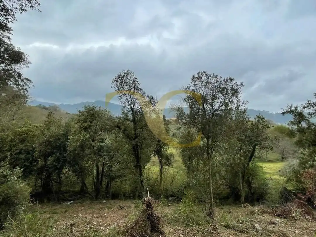Residencial en venta en Villaviciosa