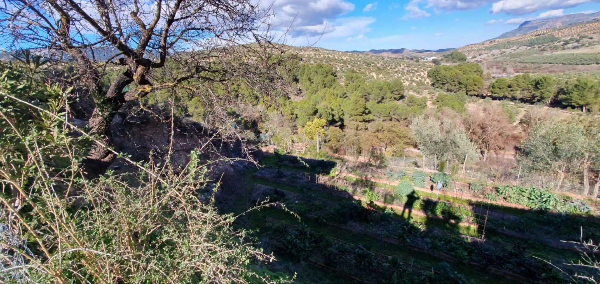 Finca rústica en venda en El Burgo amb Calefacció, Jardí privat i Traster
