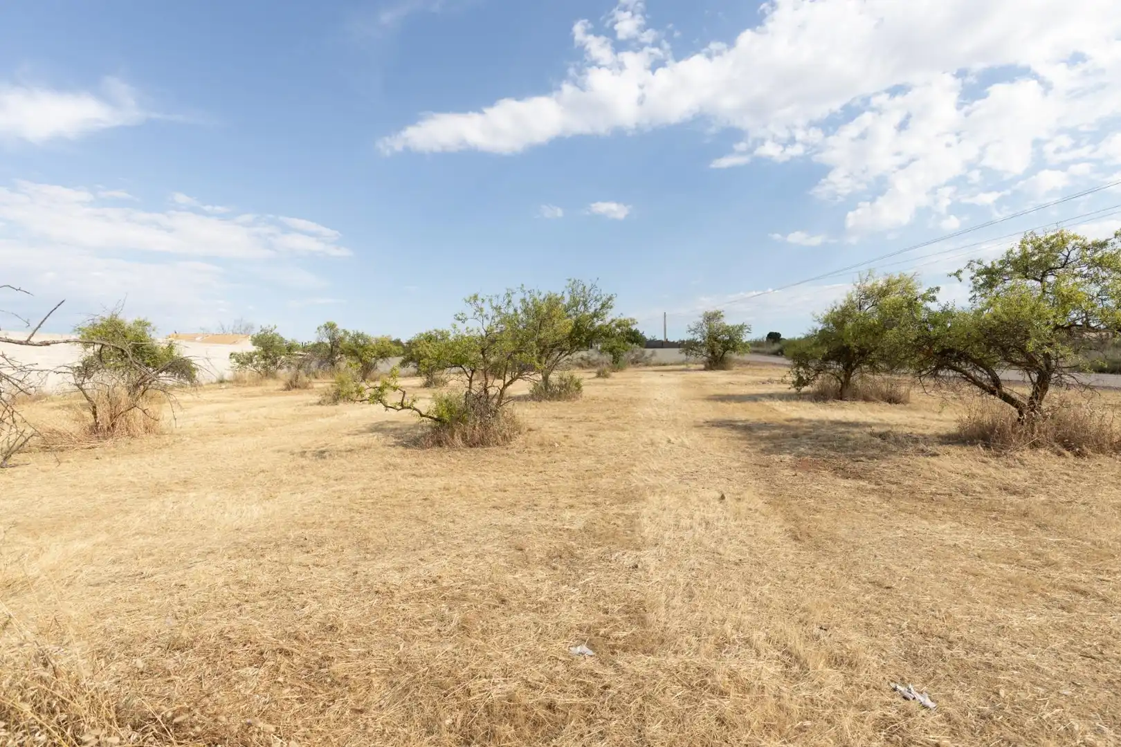 Rural land for sale in Polígono 10 Parcela 308 RIEGOS DE MORALEDA. MORAL, imagen 15