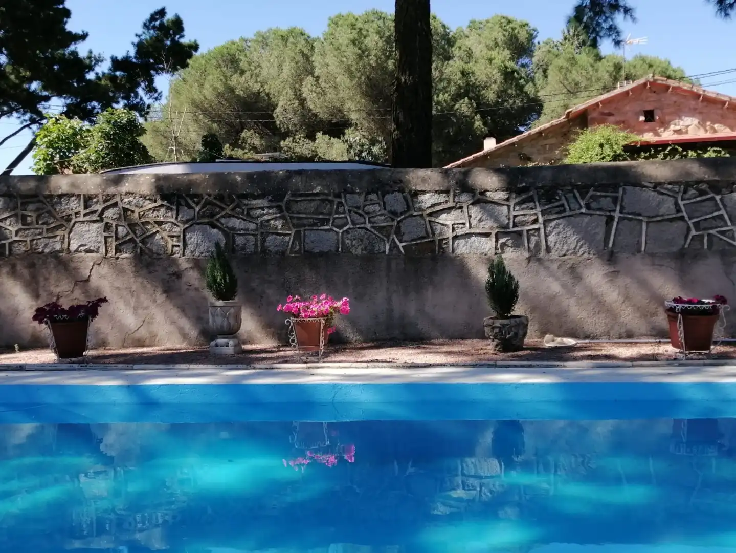 Swimming pool of Houses for sale in Alpedrete  with Private garden, Terrace and Storage room