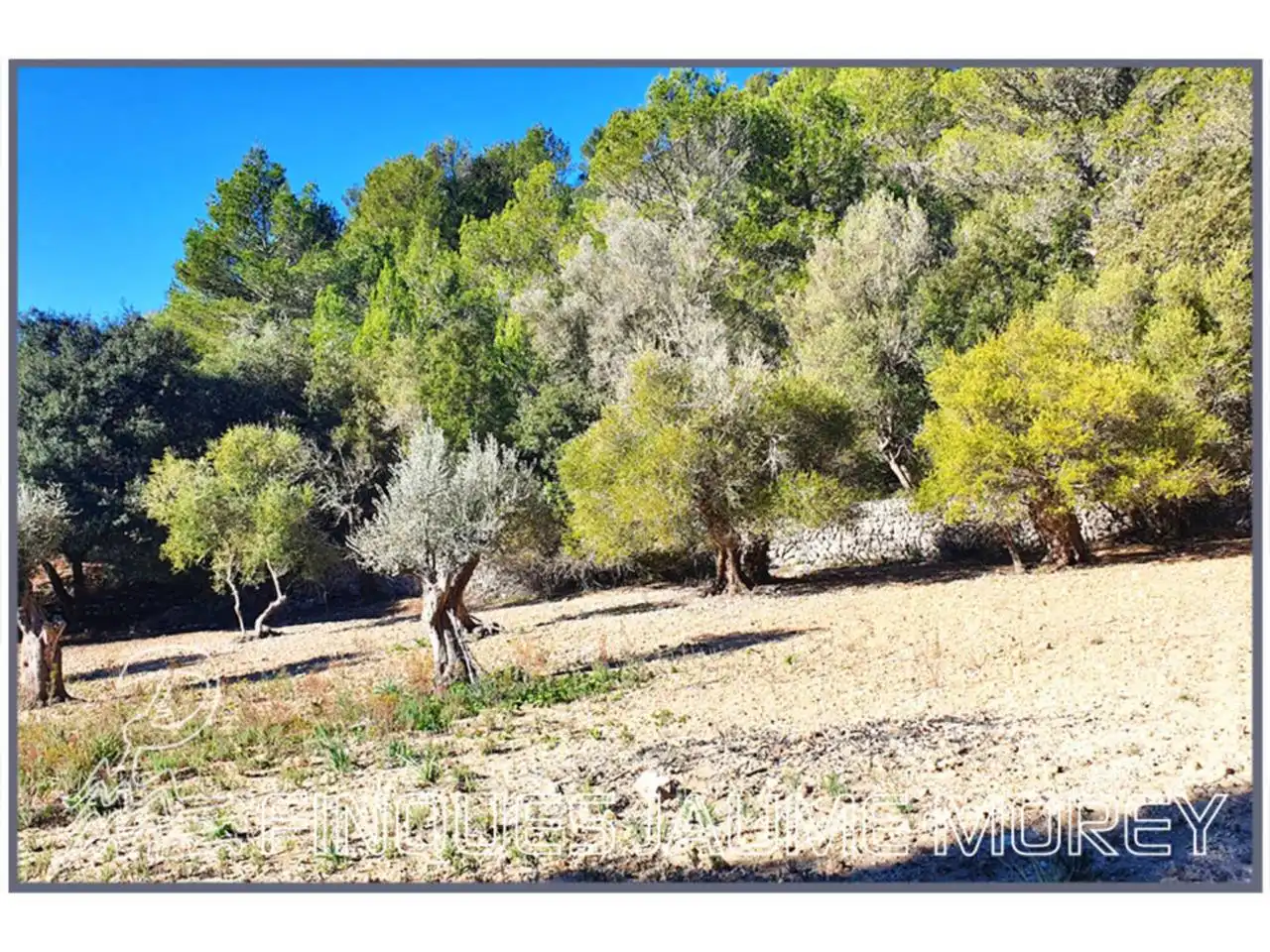 Finca rústica en venta en Mancor de la Vall con Jardín privado y Terraza