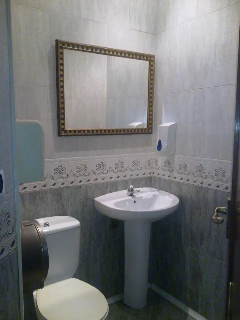 Bathroom of Commercial properties for sale in Bilbao 