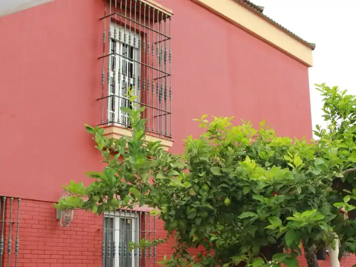 Maison avec jardin à vendre à CALLE CADIZ 9, imagen 67