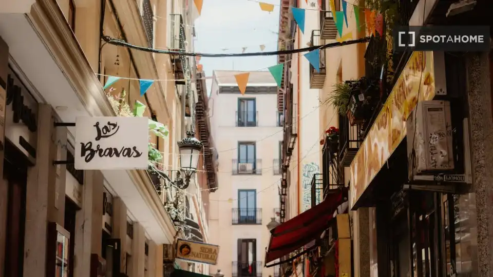 Appartement avec terrasse à louer à Centro, imagen 12