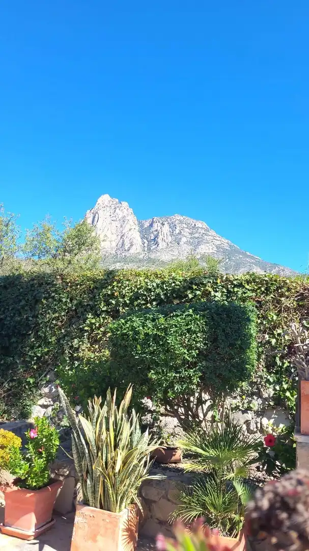 Jardí de Casa o xalet en venda en Finestrat amb Jardí privat, Terrassa i Traster