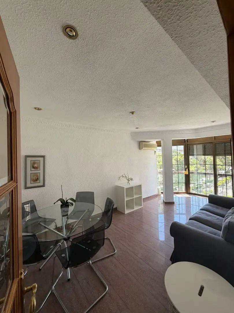 Living room of Apartments for rent in Torrent