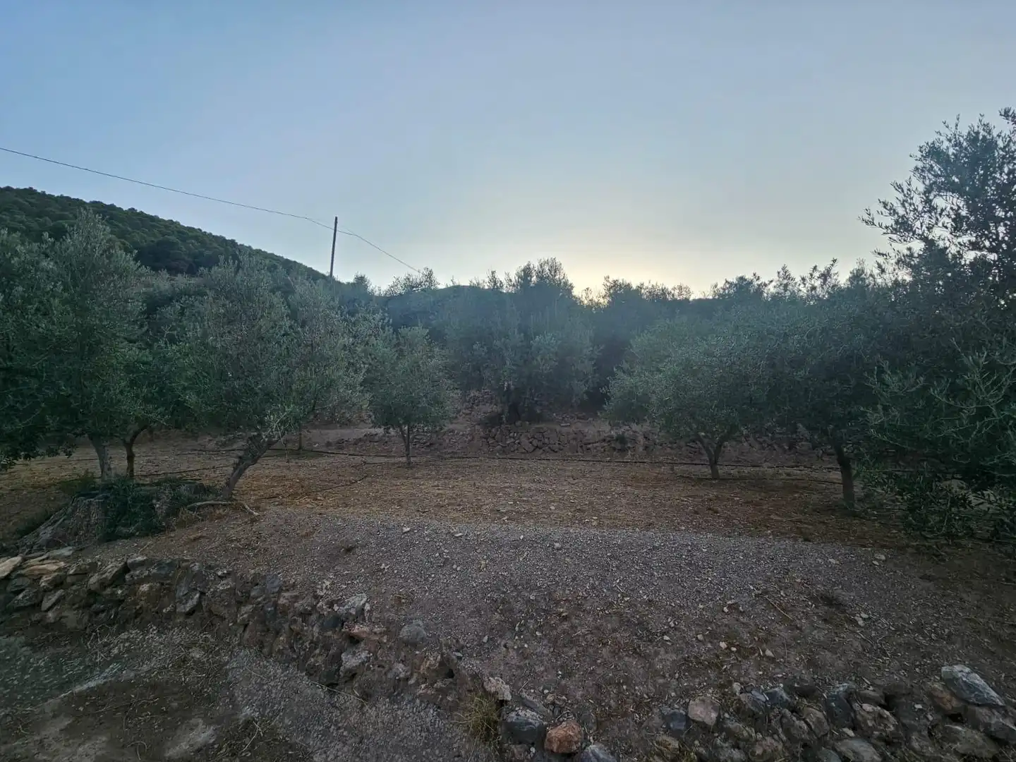 Finca rústica en venda en Fondón