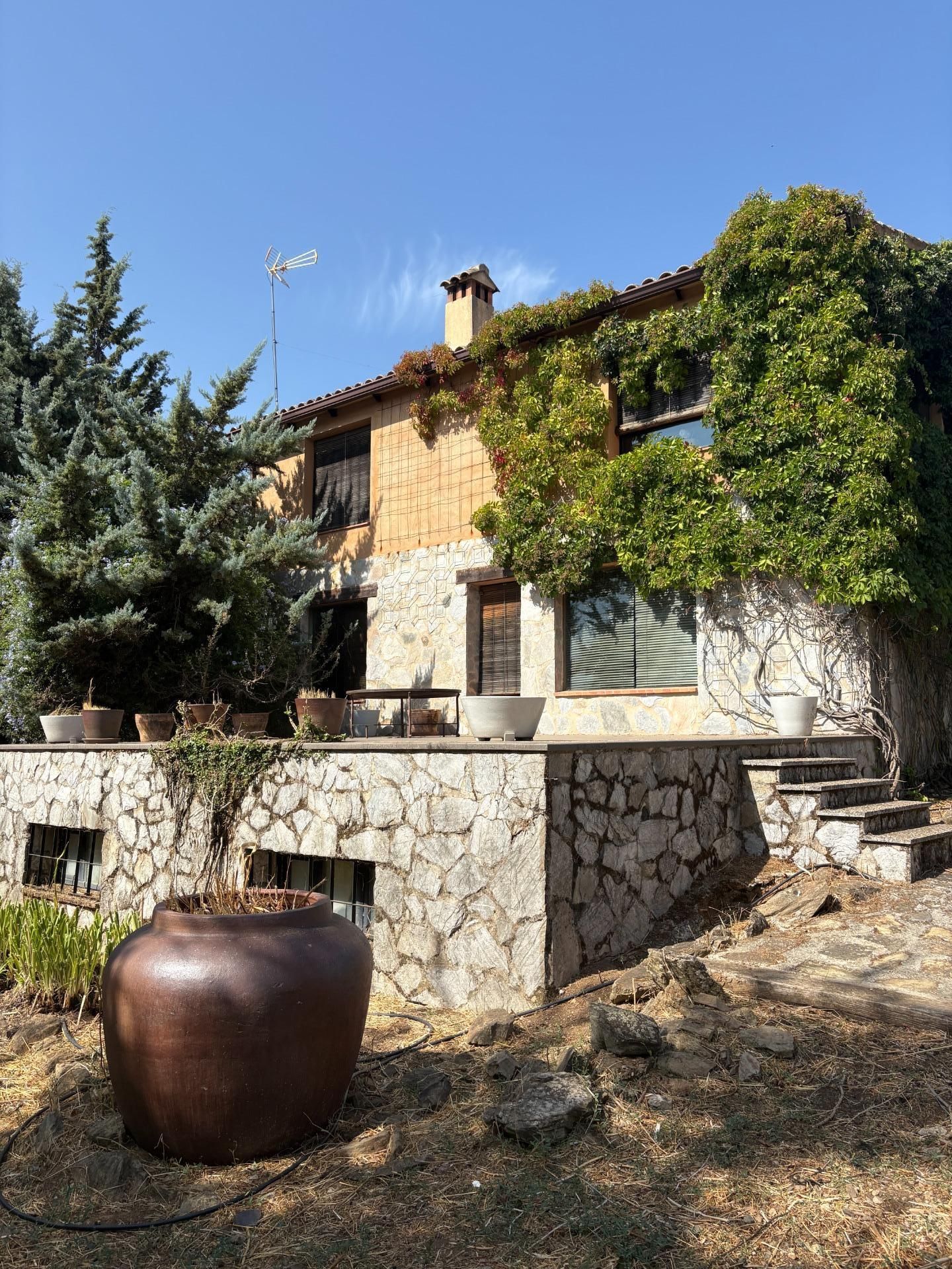 Vista exterior de Finca rústica en venda en Calera de León amb Jardí privat, Terrassa i Traster