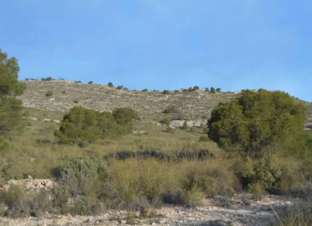 Rustikales Grundstück zum Verkauf in SOLANA DE LA PAVA, imagen 4