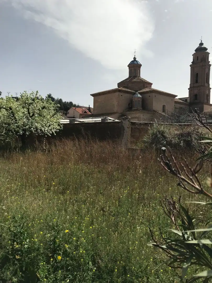 Finca rústica en venta en Cosuenda