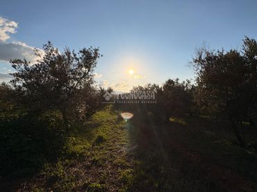 Terreno rustico in vendita a Dúrcal