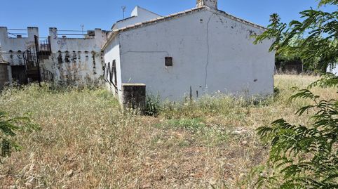 Photo 4 of Houses for sale in Arcos de la Frontera, Cádiz