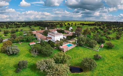 Jardí de Casa o xalet en venda en Brozas amb Terrassa i Piscina