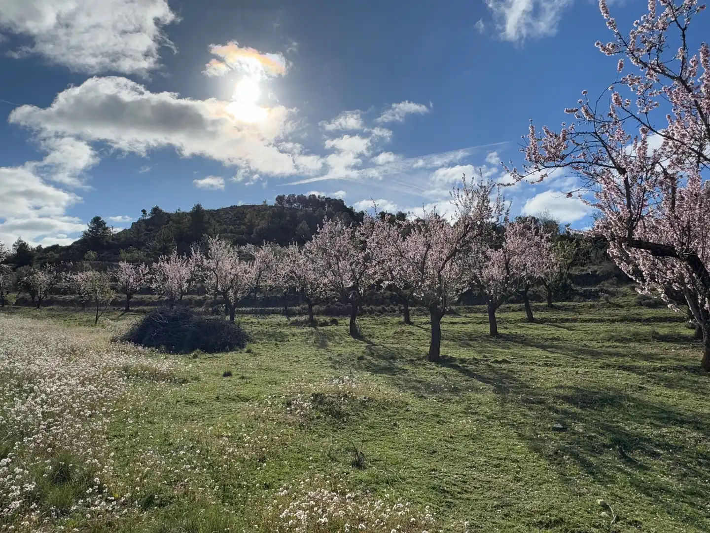 Terreni e lotti in vendita a Valderrobres, imagen 22