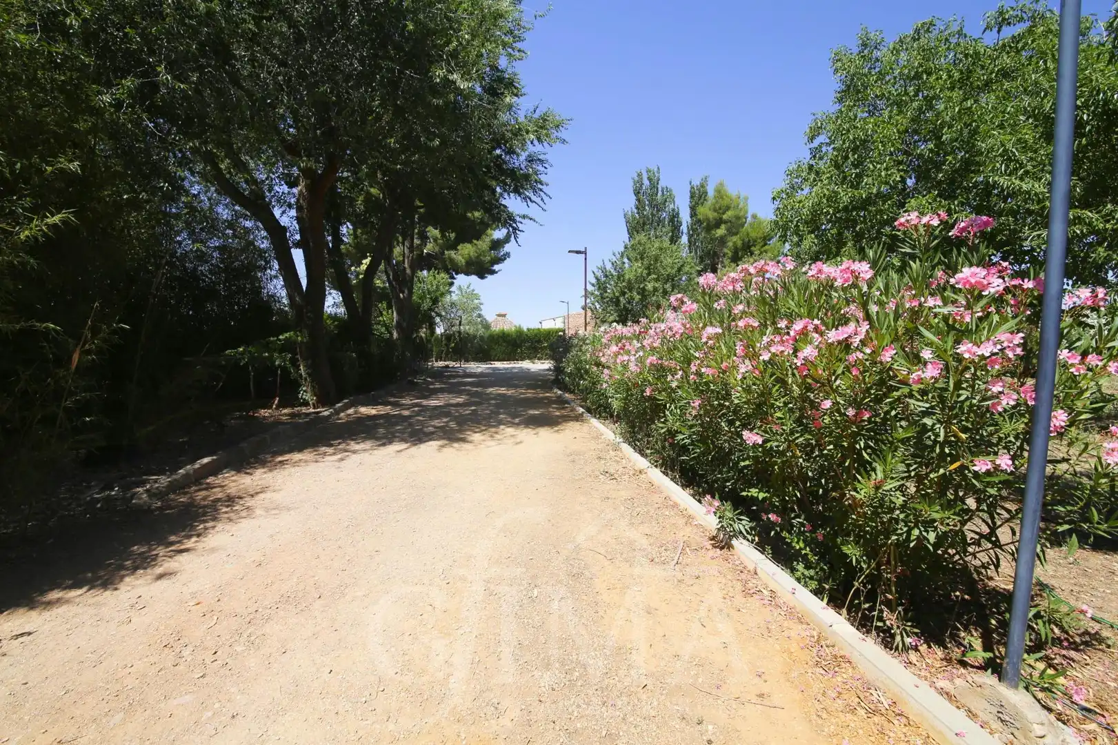Xalet amb piscina en venda a Argamasilla de Alba, imagen 34