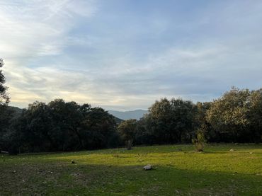 Terreno rustico in vendita a CM-5005