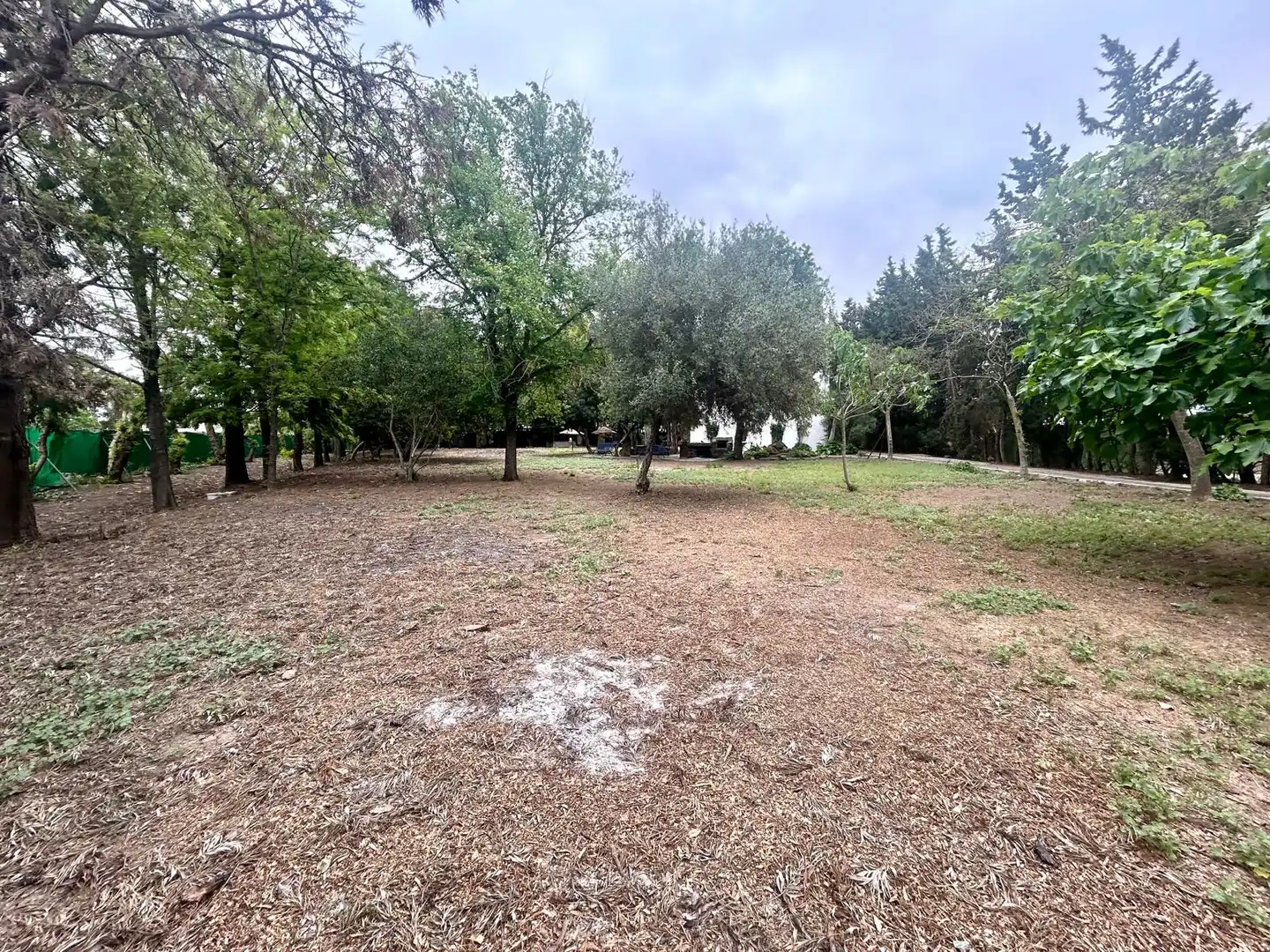 Country homes for sale in Caballero Bonald - San José Obrero - Guadalcacín