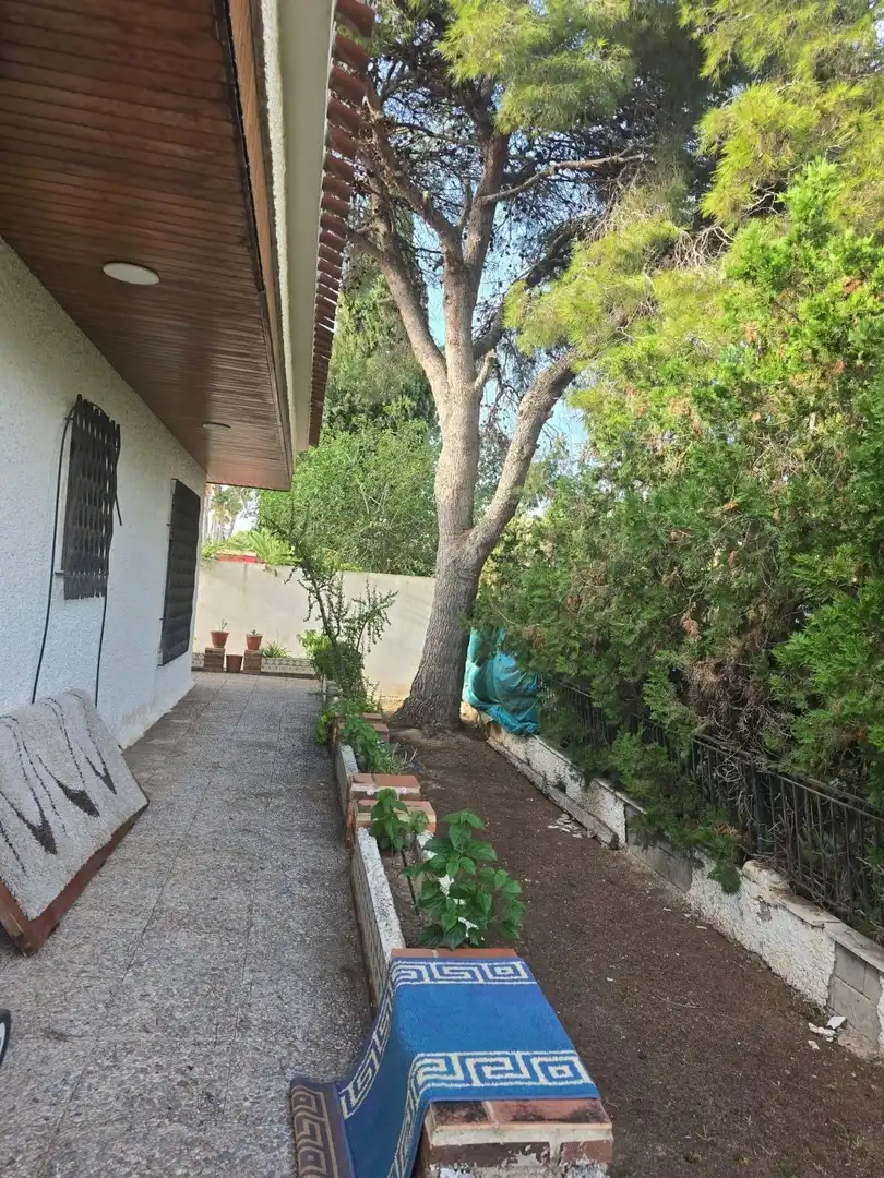 Garden of Houses for sale in Orihuela