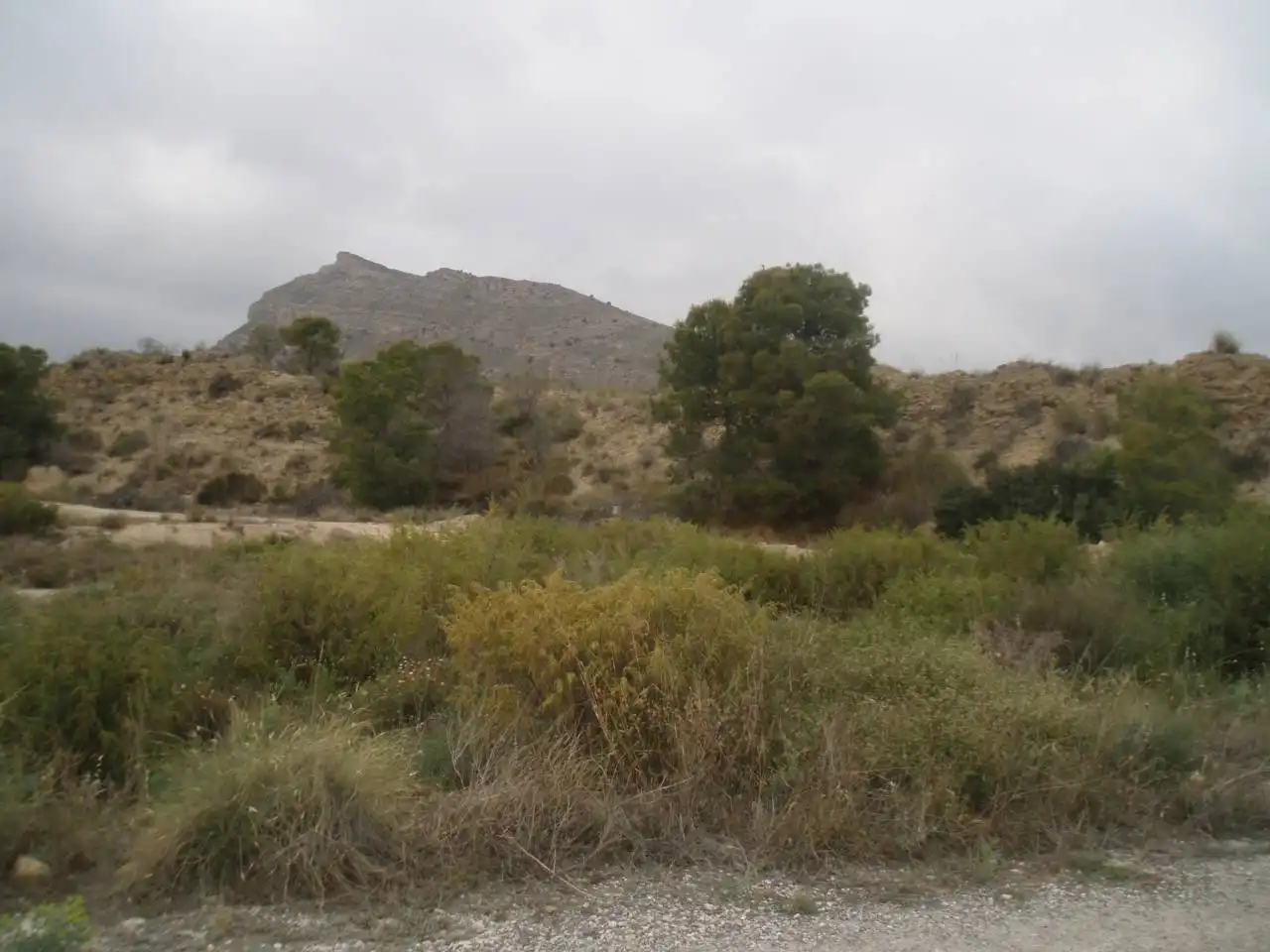 Terreny residencial en venda a Villamontes - Boqueres, imagen 9