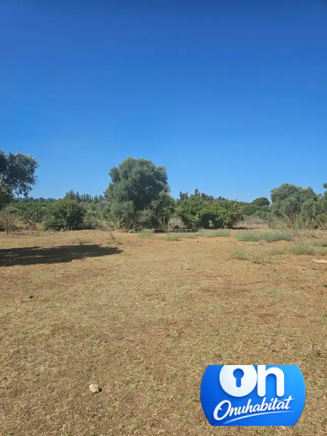 Terrenos y solares en venta en Gibraleón, imagen 21