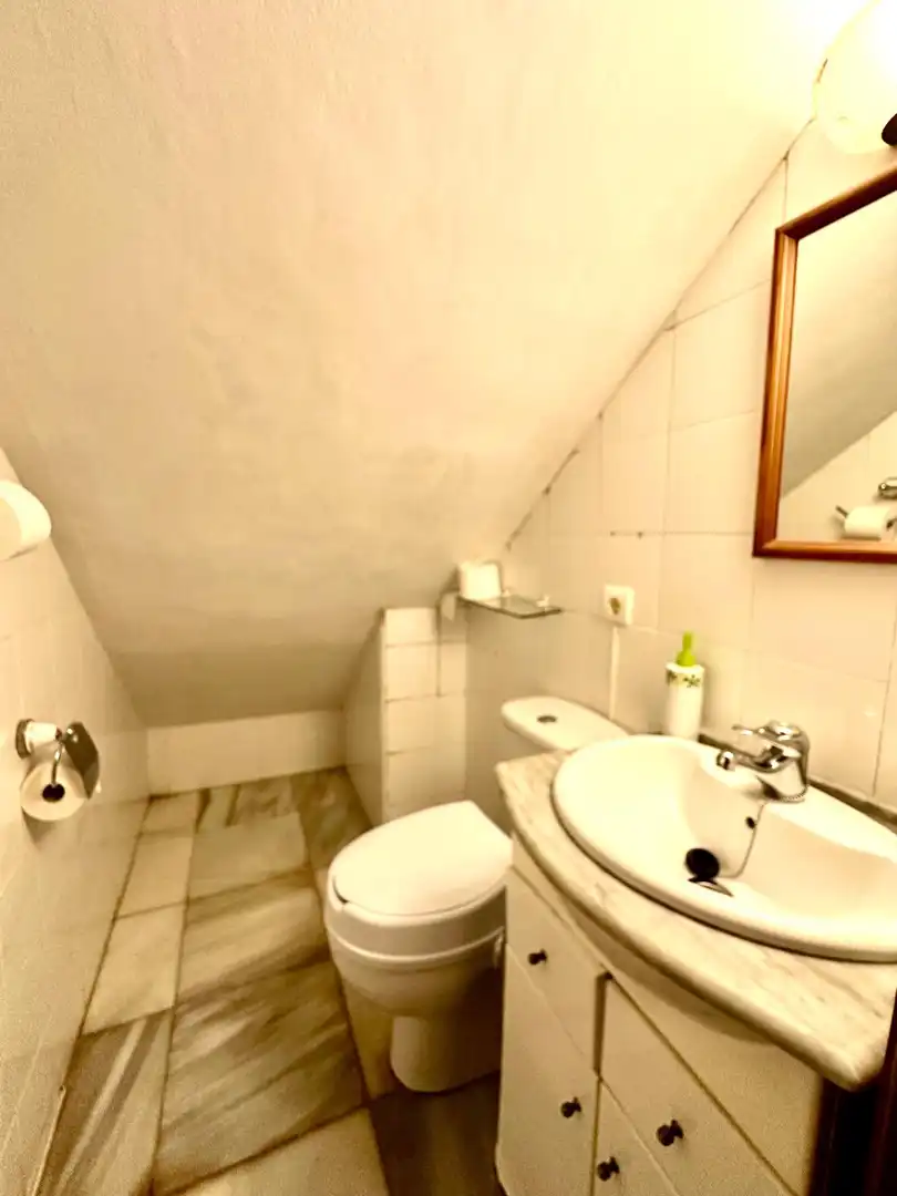 Bathroom of Houses for sale in Marbella  with Private garden, Terrace and Community pool