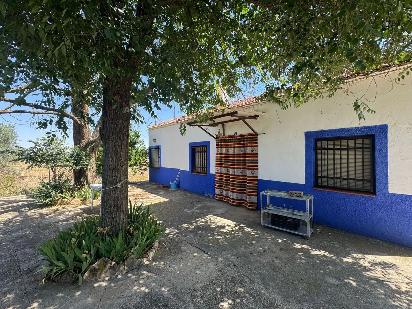 Vista exterior de Finca rústica en venta en Valdepeñas con Piscina