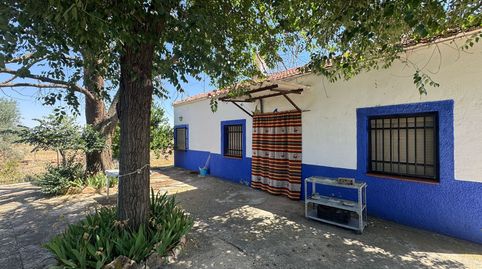 Foto 2 de Finca rústica en venta en De la Ginesa, Valdepeñas, Ciudad Real