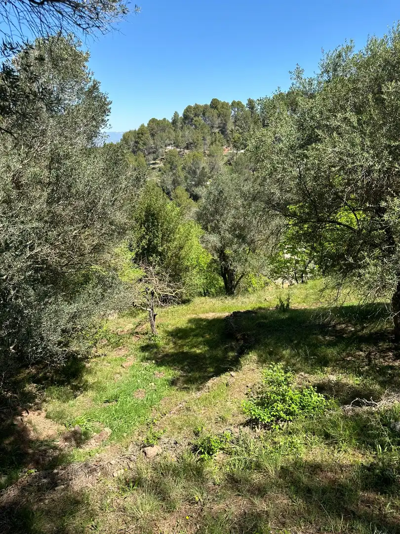 House with terrace for sale in Carrer del Doctor Peris 1, imagen 27