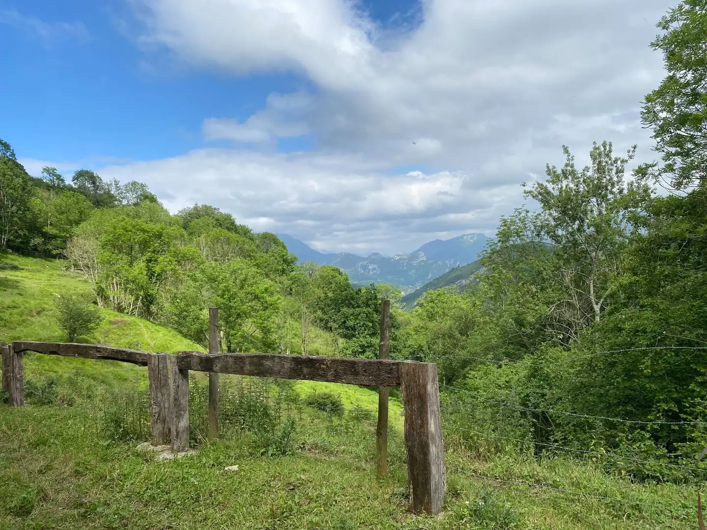 Land for sale in La Molina, Cabrales