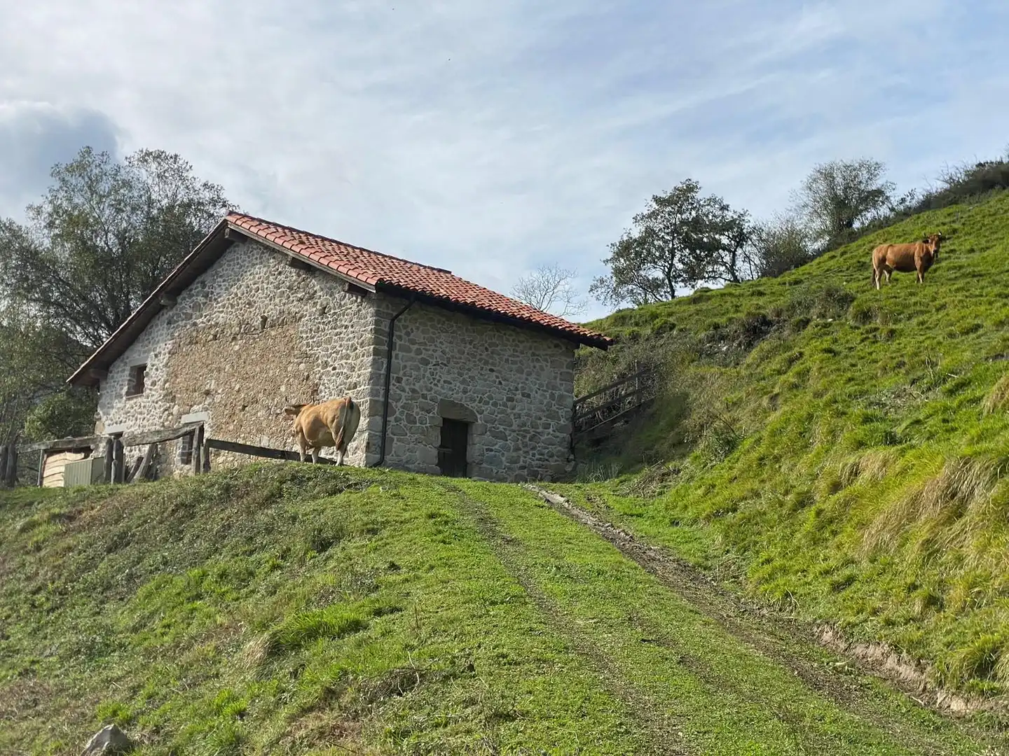 Land for sale in La Molina, Cabrales