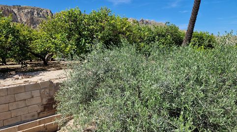 Foto 5 de Terreno en venta en Moratalla, Murcia