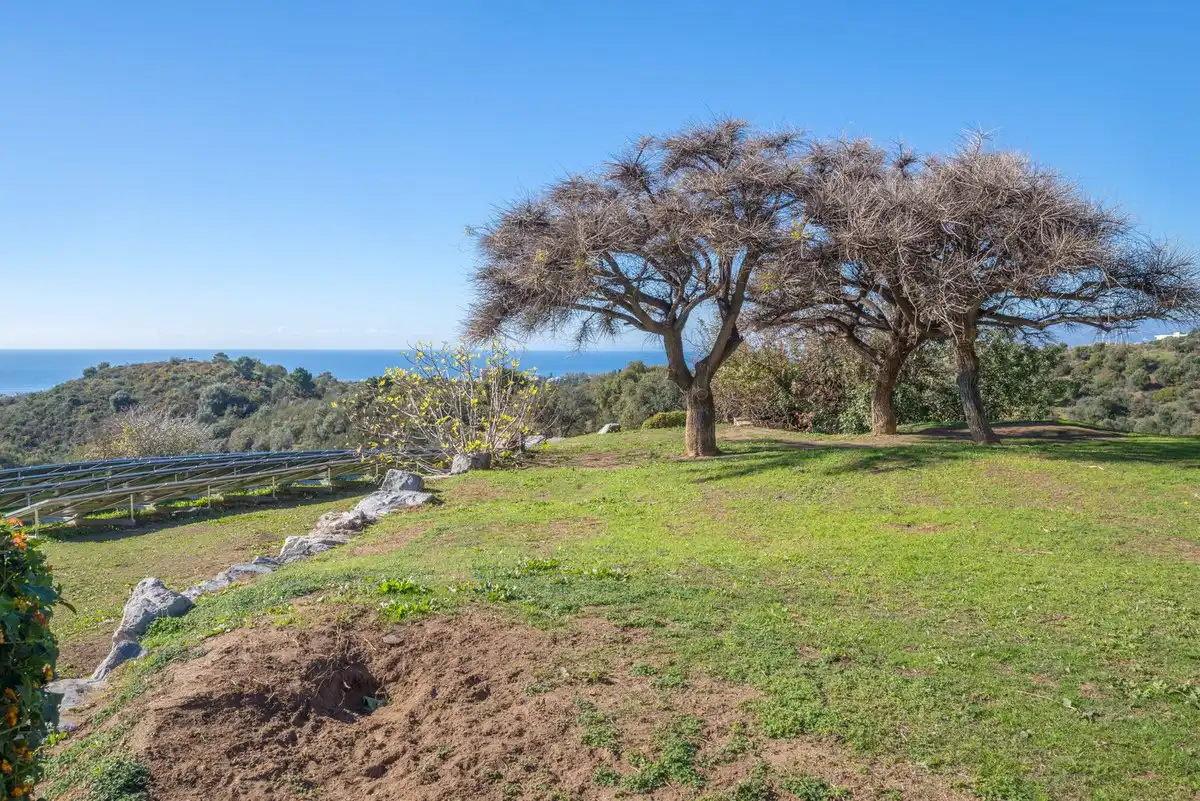 Chalet con terraza en venta en Urbanizacion los Altos de los Monteros 15, imagen 21
