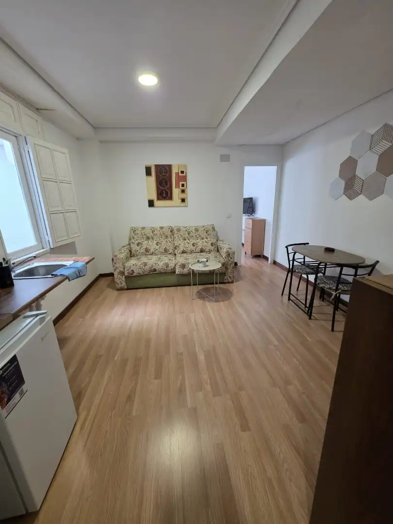 Sala d'estar de Estudi de lloguer en Narón amb Moblat i Es permeten mascotes
