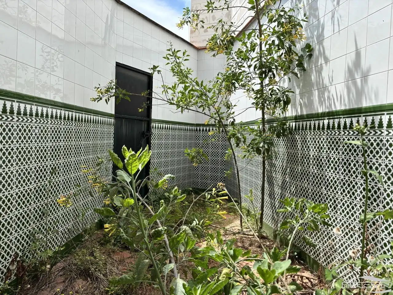 Jardín de Casa o chalet en venta en Puente Genil con Terraza