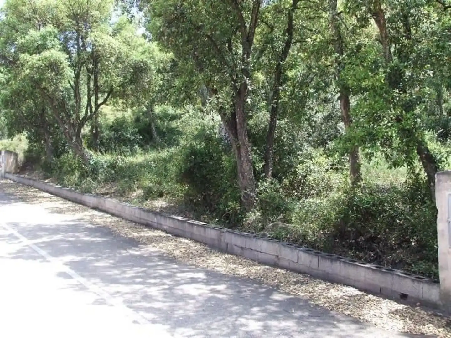 Terreno rústico en venta en Artana, imagen 2