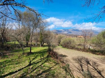Terrain rustique à vendre à Jarandilla de la Vera